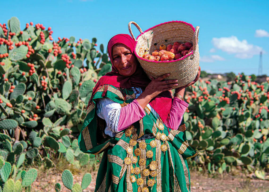 Présentation de la région de Kassrine